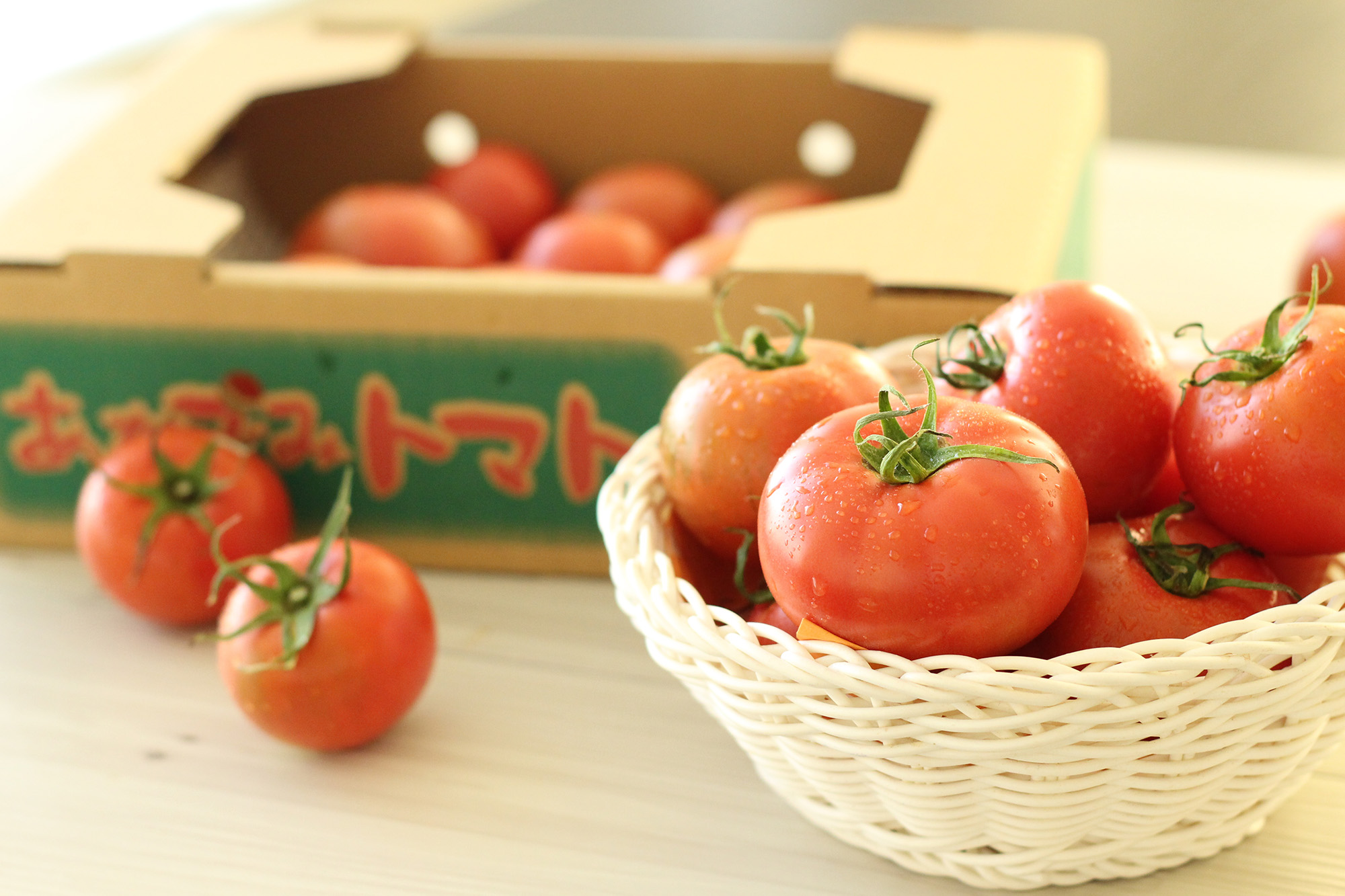 味の濃い真っ赤な「あかでみトマト」の美味しいレシピ｜ベルファーム