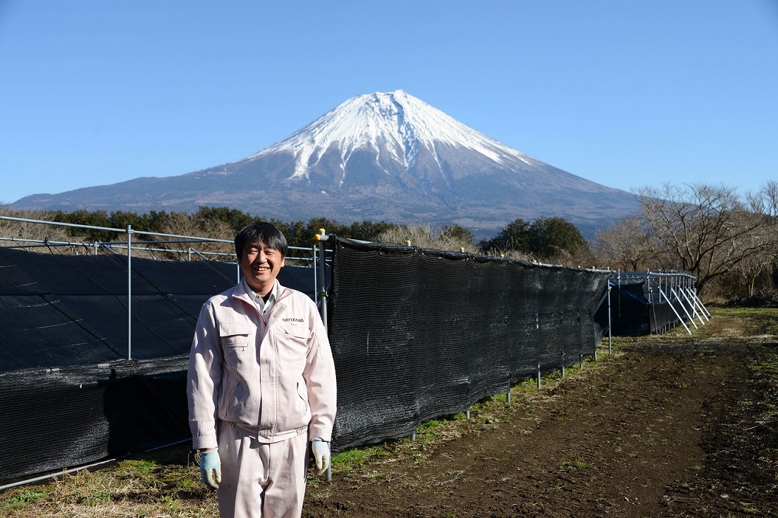 栽培期間はなんと6年！富士山麓の「高麗人蔘」｜前川総合研究所